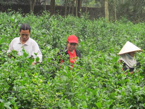 Nông dân Ba Trại được học nhiều nghề - ảnh 1