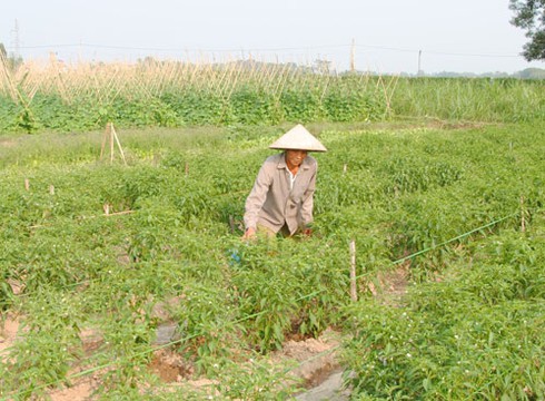 Nông dân Tân Yên giàu lên nhờ được học nghề - ảnh 1