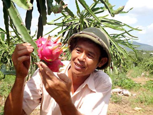 Bắc Giang: Hơn 7000 lao động nông thôn sau học nghề có việc làm - ảnh 1