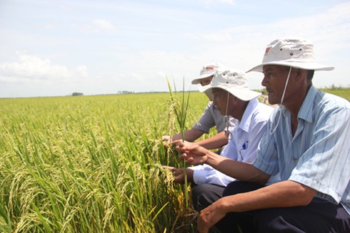 Thành chuyên gia nông dân nhờ đào tạo nghề - ảnh 1