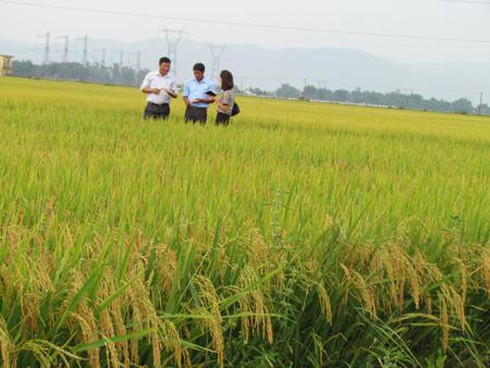 Đức Thọ chuyển mình - ảnh 1