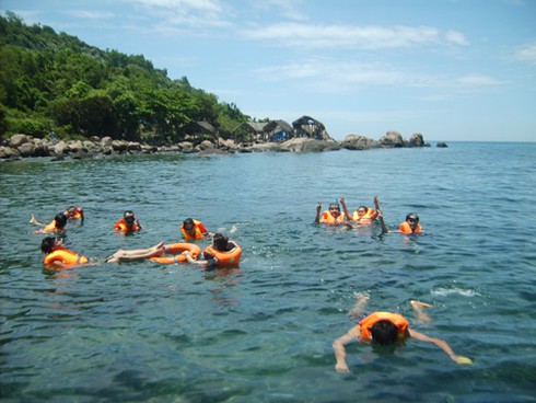 Bảo vệ san hô quý ở bán đảo Sơn Trà - ảnh 2