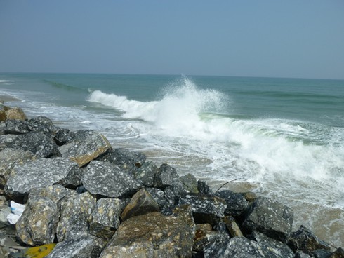 Miền Trung: Còn gần 5.000 ngư dân ở vùng nguy hiểm bão số 8 - ảnh 1