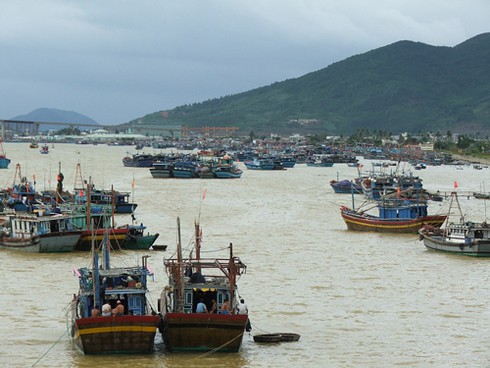Miền Trung: Còn gần 5.000 ngư dân ở vùng nguy hiểm bão số 8 - ảnh 2