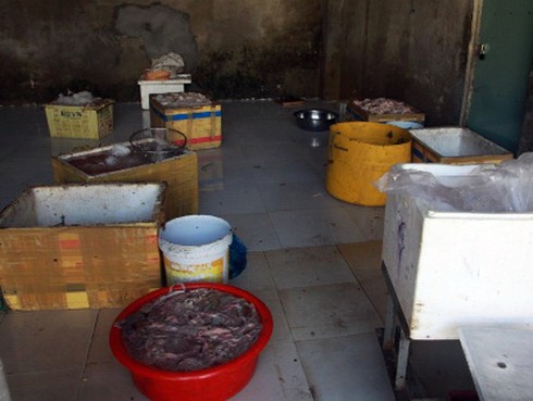 Trèo tường vào bắt quả tang chế biến 2 tấn nội tạng thối - ảnh 1