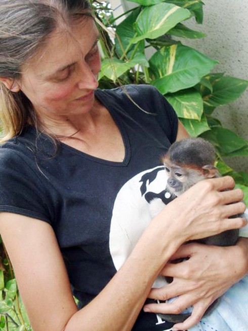 Đà Nẵng: Kẻ cầm đầu vụ sát hại voọc quý hiếm sa lưới - ảnh 1