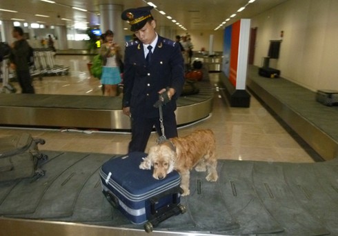 Đà Nẵng: Bắt đối tượng truy nã nghi vận chuyển trái phép ngà voi - ảnh 1