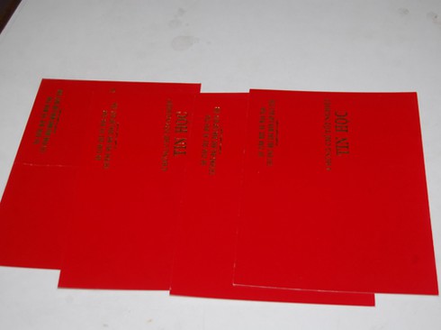 Đà Nẵng phát hiện trên 1.000 người sử dụng bằng giả! - ảnh 2