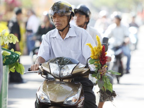 Đổ xô hay đổ đồng chuyện