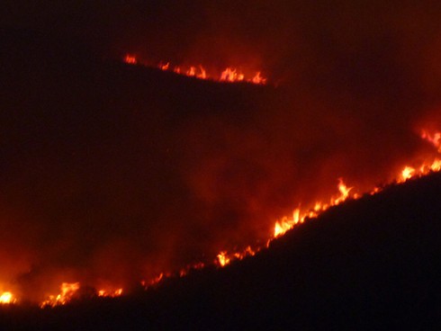 Đà Nẵng: Cảnh báo nguy cơ cháy rừng cấp cao nhất - ảnh 1