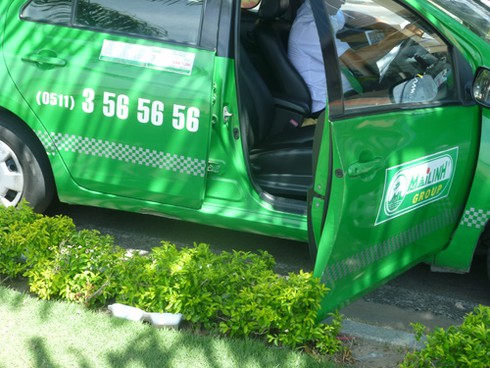 Con đường đẹp nhất Đà Nẵng đầy... rác! - ảnh 2
