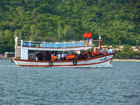 Buông câu lúc hoàng hôn trên biển Sơn Trà - ảnh 4