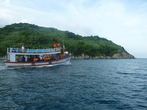 Buông câu lúc hoàng hôn trên biển Sơn Trà - ảnh 5