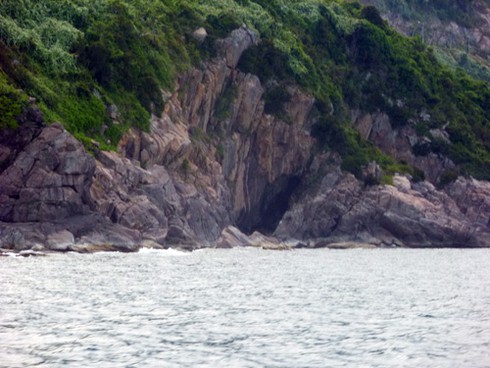 Buông câu lúc hoàng hôn trên biển Sơn Trà - ảnh 7