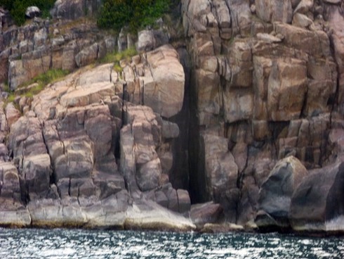 Buông câu lúc hoàng hôn trên biển Sơn Trà - ảnh 8