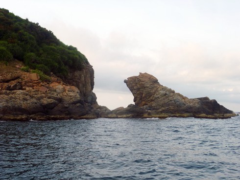 Buông câu lúc hoàng hôn trên biển Sơn Trà - ảnh 11