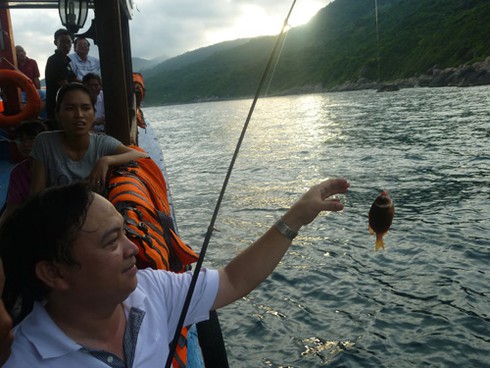 Buông câu lúc hoàng hôn trên biển Sơn Trà - ảnh 16