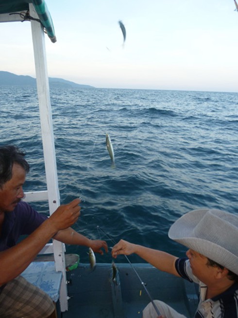 Buông câu lúc hoàng hôn trên biển Sơn Trà - ảnh 20