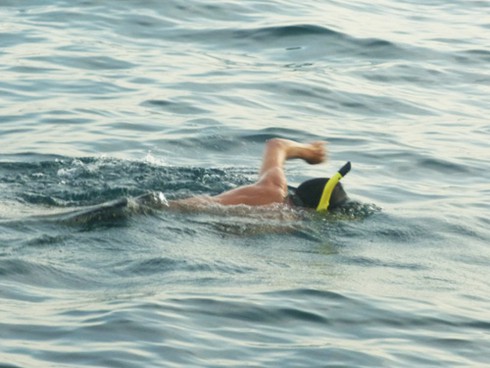 Buông câu lúc hoàng hôn trên biển Sơn Trà - ảnh 21