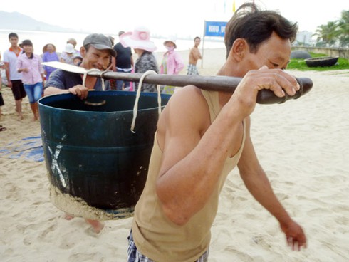 Ly kỳ chuyện ngư dân Đà Nẵng bắt được... hải cẩu! - ảnh 3