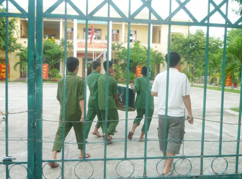 Ly kỳ chuyện ngư dân Đà Nẵng bắt được... hải cẩu! - ảnh 6