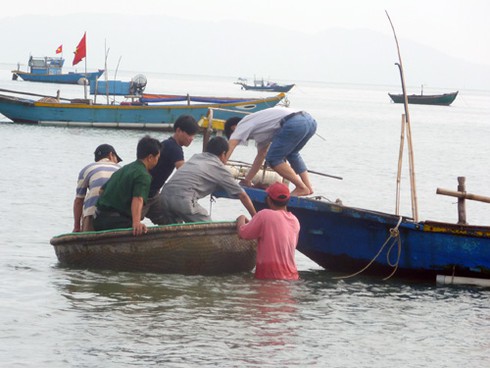 Ly kỳ chuyện ngư dân Đà Nẵng bắt được... hải cẩu! - ảnh 21
