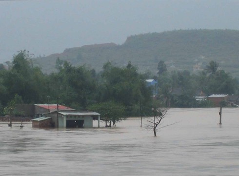 Bão số 8: 15 người thương vong, mất tích - ảnh 2