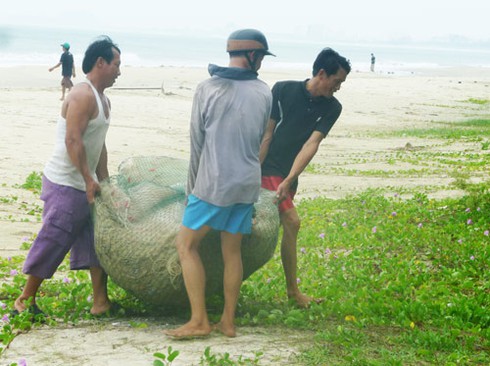 Bão số 10: Ảnh biển động, sóng bạc đầu dồn dập tại Đà Nẵng - ảnh 17