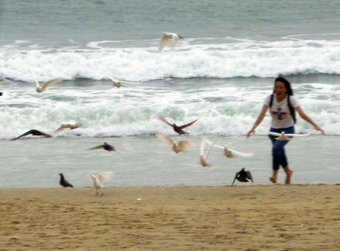 Bão số 10: Ảnh biển động, sóng bạc đầu dồn dập tại Đà Nẵng - ảnh 2