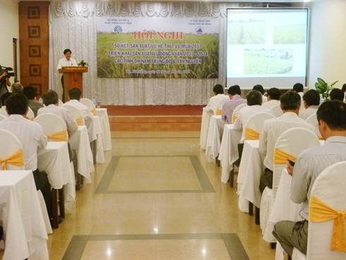 Miền Trung - Tây Nguyên: Giảm gần 8.000ha lúa do hạn nặng - ảnh 1