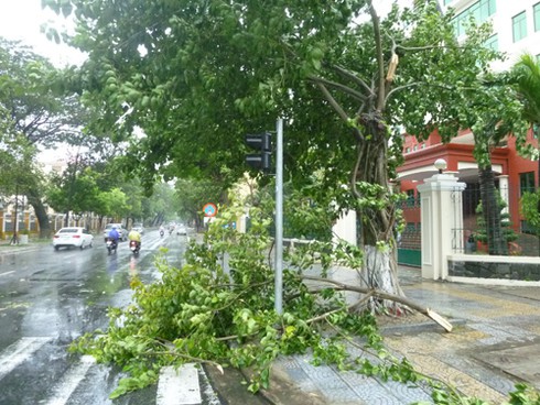 Bão số 11 đổ bộ ban đêm: Cực kỳ nguy hiểm! - ảnh 4