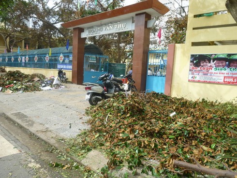Đà Nẵng: Nhiều trường học thiệt hại nặng sau bão số 11 - ảnh 1