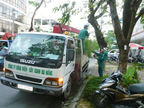Đà Nẵng: Nghỉ học, nghỉ làm toàn thành phố để tránh siêu bão Haiyan (bão số 14) - ảnh 4