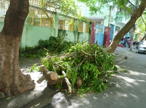 Bí thư Đà Nẵng: