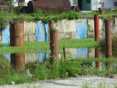 Dự án treo thành