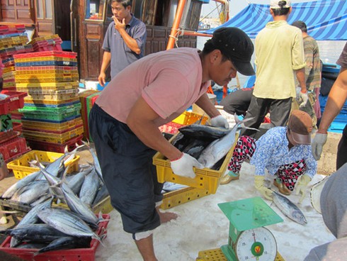 200 tấn hải sản cập bến mỗi ngày, giá giảm mạnh - ảnh 1