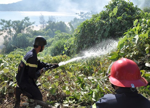 Đà Nẵng: Cháy trên núi Sơn Trà - ảnh 1