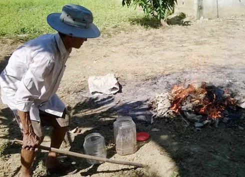 Đà Nẵng: Ngăn chặn việc nhân nuôi loài sâu Superworm nguy hại - ảnh 2
