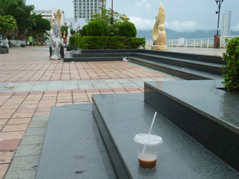 Vườn tượng ở “phòng khách” Đà Nẵng đầy rác! - ảnh 9