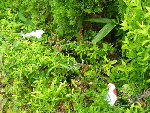 Vườn tượng ở “phòng khách” Đà Nẵng đầy rác! - ảnh 14