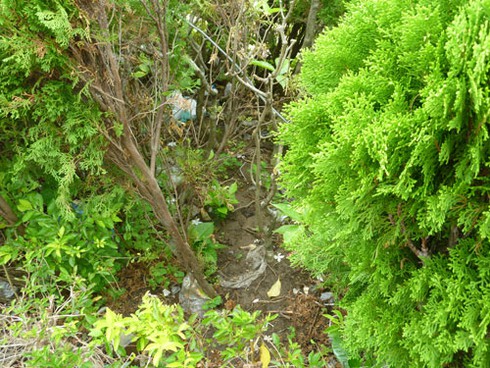 Vườn tượng ở “phòng khách” Đà Nẵng đầy rác! - ảnh 16