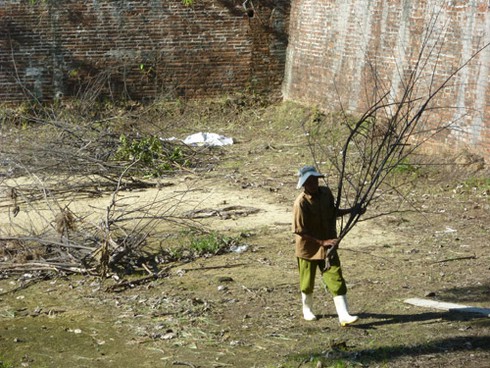 Phó Chủ tịch Đà Nẵng đau xót với di tích quốc gia Thành Điện Hải - ảnh 1