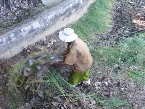 Phó Chủ tịch Đà Nẵng đau xót với di tích quốc gia Thành Điện Hải - ảnh 2