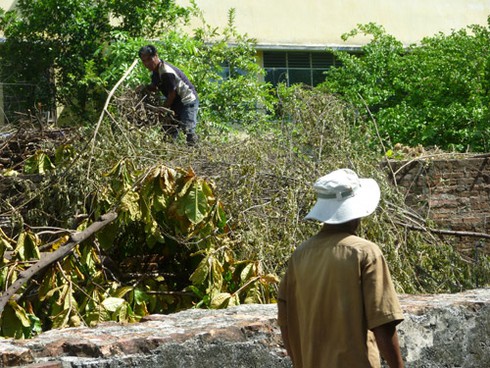 Phó Chủ tịch Đà Nẵng đau xót với di tích quốc gia Thành Điện Hải - ảnh 3