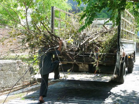 Phó Chủ tịch Đà Nẵng đau xót với di tích quốc gia Thành Điện Hải - ảnh 5