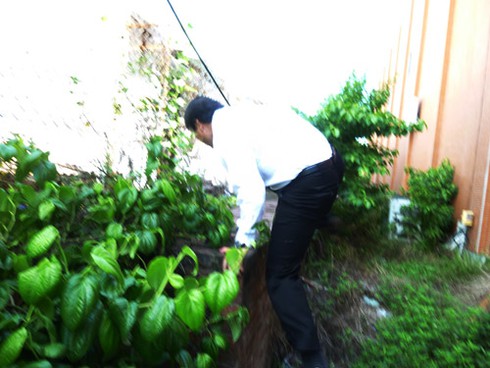 Phó Chủ tịch Đà Nẵng đau xót với di tích quốc gia Thành Điện Hải - ảnh 8