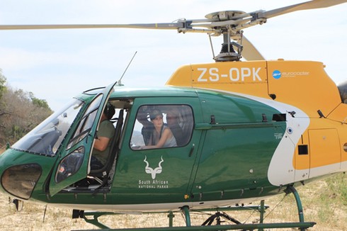 Diva Hồng Nhung sốc nặng trước xác tê giác vừa bị giết - ảnh 7