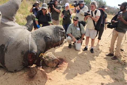 Diva Hồng Nhung sốc nặng trước xác tê giác vừa bị giết - ảnh 9