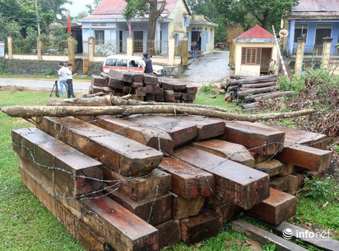 Vụ phá rừng Cà Nhông: 2 cá nhân trồng cao su trong lõi rừng đặc dụng! - ảnh 1