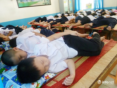 Năm học 2015 – 2016 Đà Nẵng cho tuyển sinh lớp 1 và lớp 6 trái tuyến? - ảnh 1